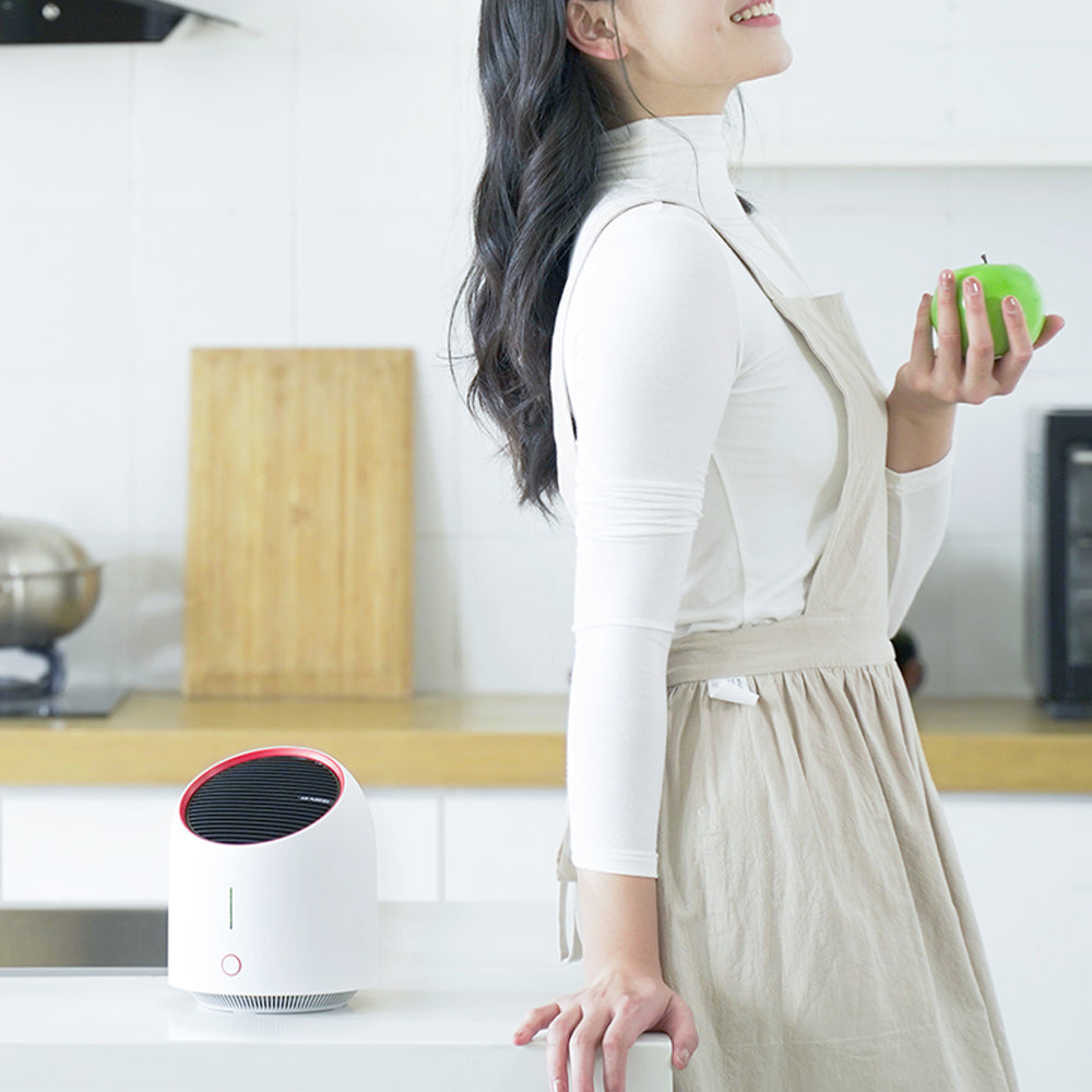 Home Haven - Air Purifier Pro