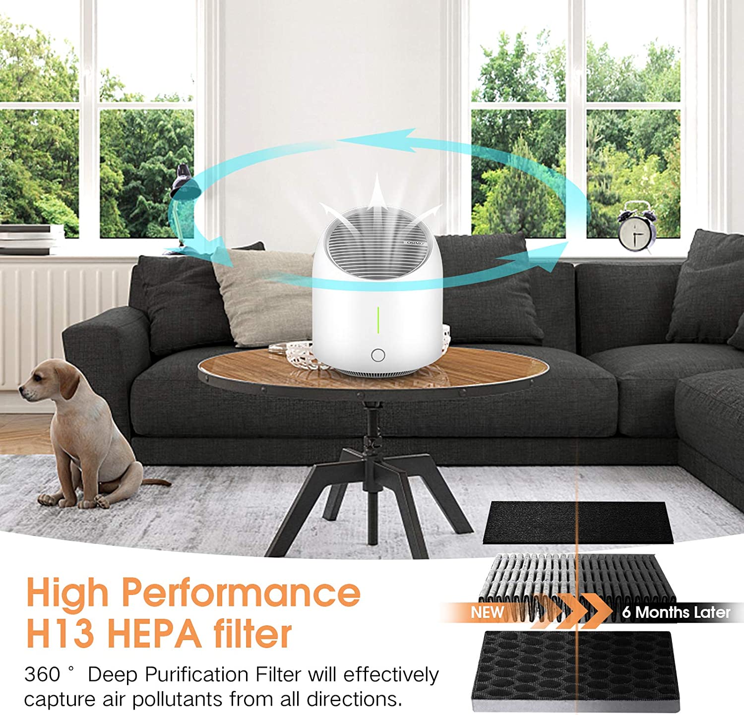 Air Purifier Pro Filters (x2)