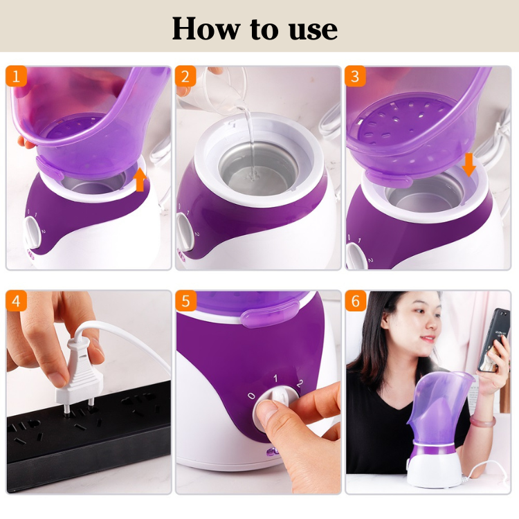 Ionic Facial Steamer Haven